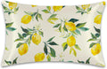 1 Pack Satin Pillowcase for Hair and Skin Yellow Lemon Retro Imitation Silk Pillowcase 20" x 30" with Hidden Zipper Soft Smooth Cooling Pillow Cover Queen Size for Bedroom Sofa