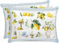 Satin Pillowcase for Hair and Skin Standard Size 2 Pack Summer Lemon Satin Pillow Case Soft Cool Silk Flower Vase Wine Yellow Waves Stripes Pillowcases with Hidden Zipper Throw Pillow Covers 20x26